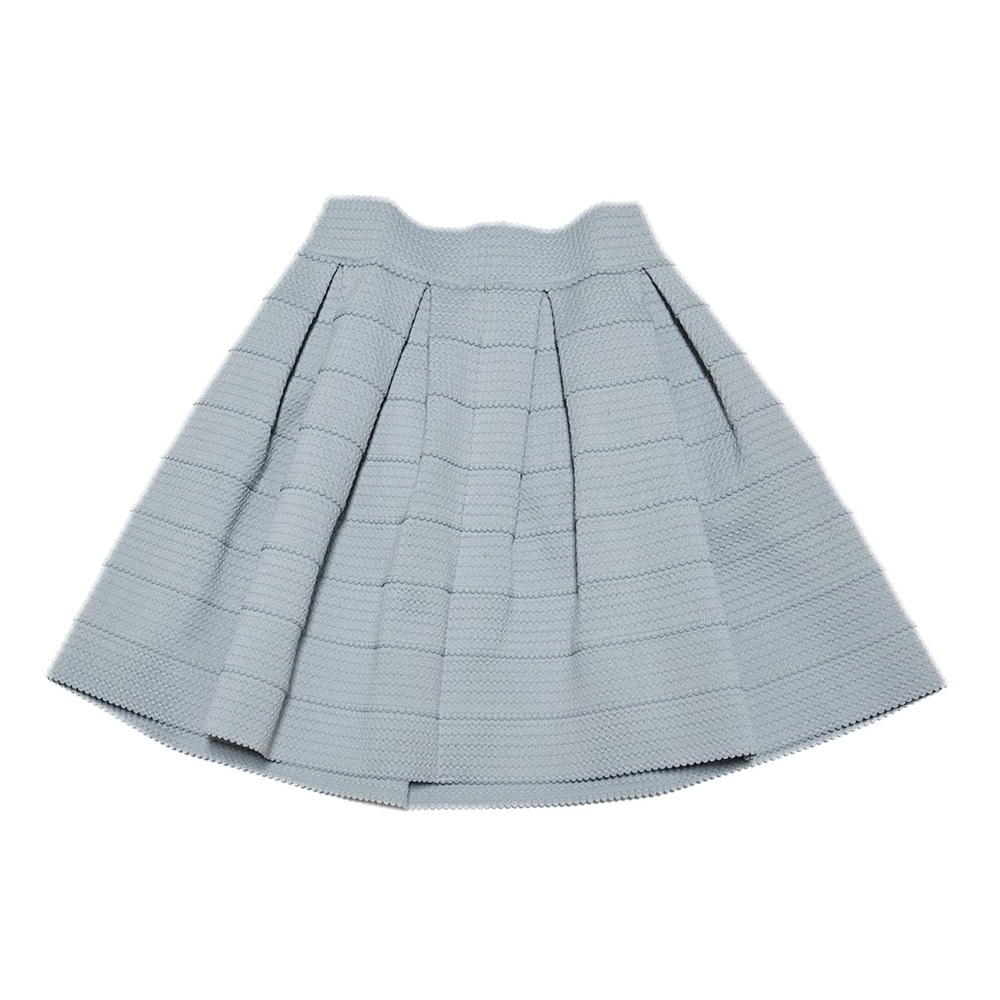 Express Structured Poof Box Pleated Skirt Rubber Blend A-Line Skater Circle